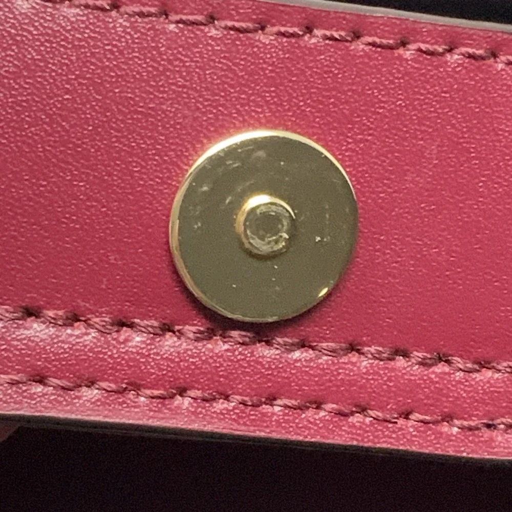 Michael Kors Kimberly‎ Small Bucket Crossbody Purse Brown Merlot Strap Magnetic